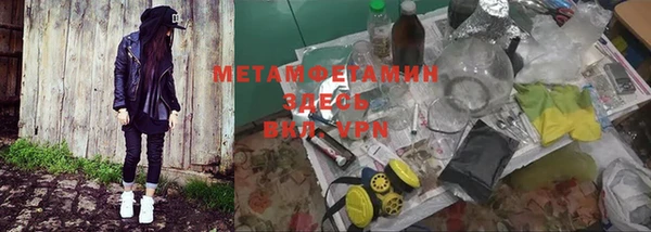 трава Надым